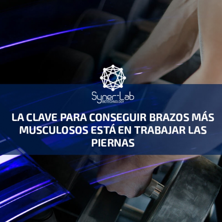 La clave para conseguir brazos más musculosos está en trabajar las piernas