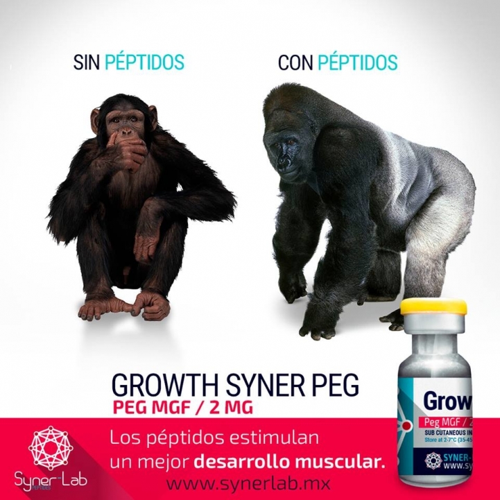 Los péptidos estimulan un mejor desarrollo muscular.
