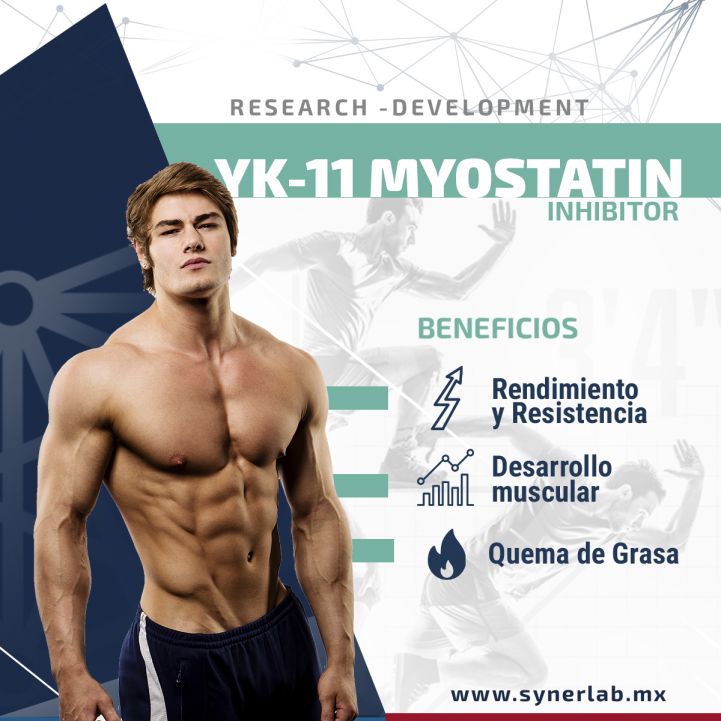 Usos y Beneficios de: YK-11| Myostatin Inhibitor