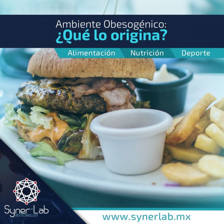 Ambiente Obesogénico. ¿Qué lo origina?