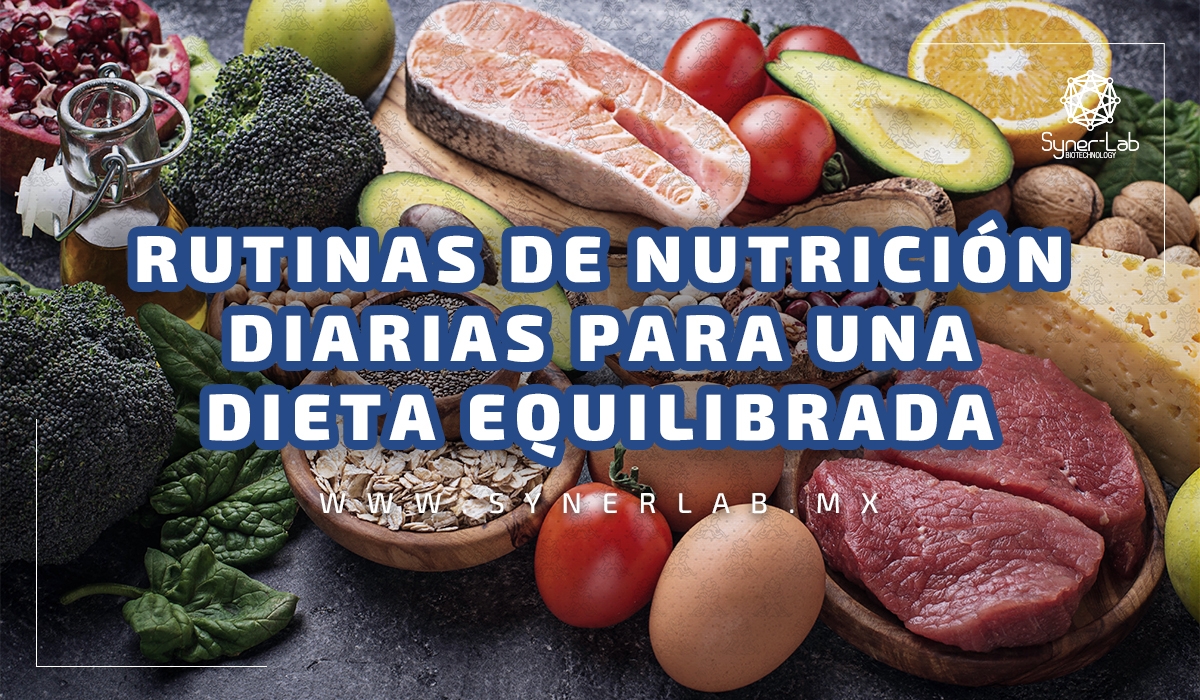 Rutinas de nutrición diarias para una dieta equilibrada