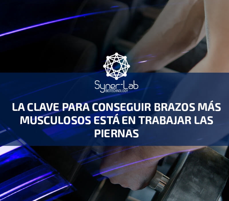 La clave para conseguir brazos más musculosos está en trabajar las piernas