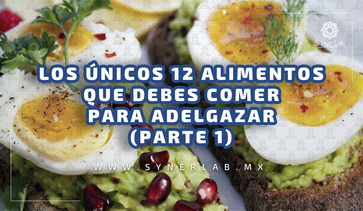 Los únicos 12 alimentos que debes comer para adelgazar (como huevos, nueces o atún) (Parte 1)