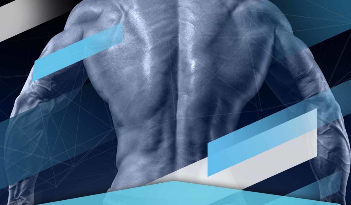 Sarms, marcando la diferencia