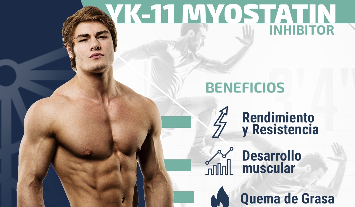 Usos y Beneficios de: YK-11| Myostatin Inhibitor