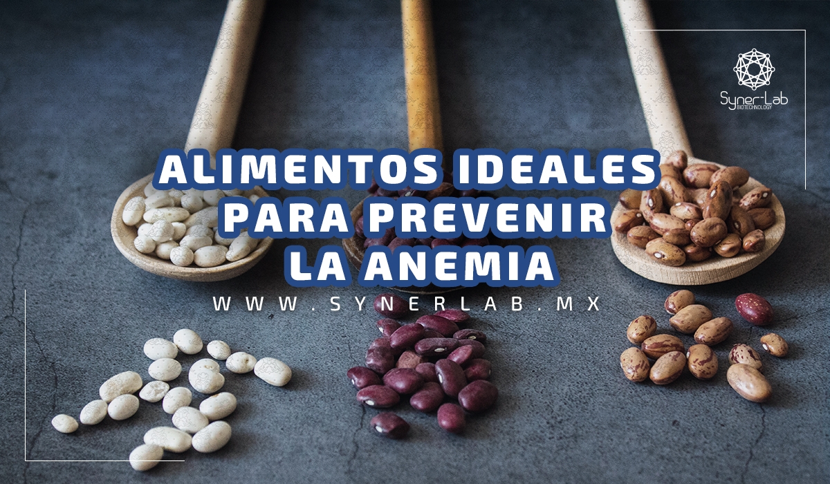 Alimentos ideales para prevenir la anemia